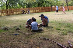 IMG_5455