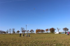 IMG_3963