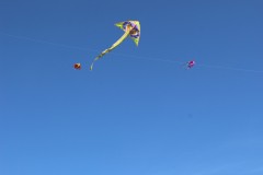 IMG_3969