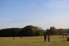 IMG_3972