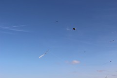 IMG_3974