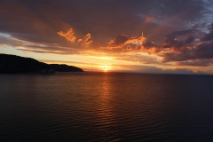 IMG_5203