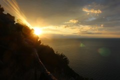 IMG_5220