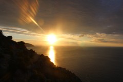 IMG_5224