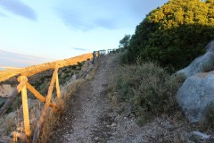IMG_5226