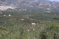 IMG_5387