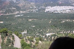IMG_5391