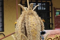 IMG_7639