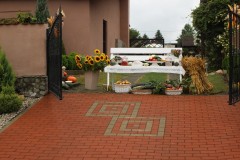 IMG_7646