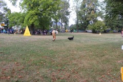 IMG_7716