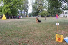 IMG_7718