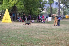 IMG_7722