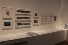 IMG_9387