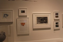 IMG_9414