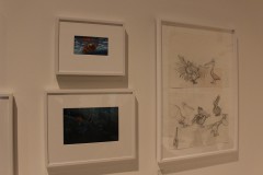 IMG_9417