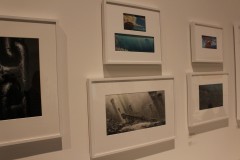 IMG_9418