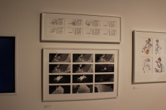 IMG_9435
