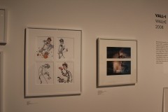 IMG_9436