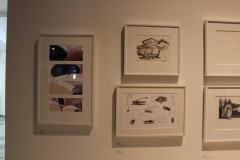 IMG_9440