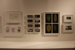 IMG_9450