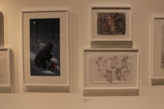IMG_9455