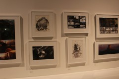 IMG_9457