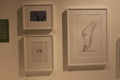 IMG_9470