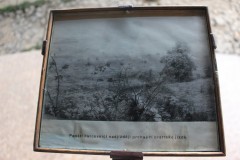 IMG_9521