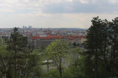 IMG_9525