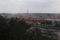IMG_9526
