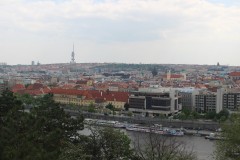 IMG_9527