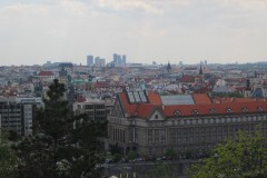 IMG_9529