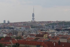 IMG_9530