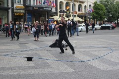 IMG_9536